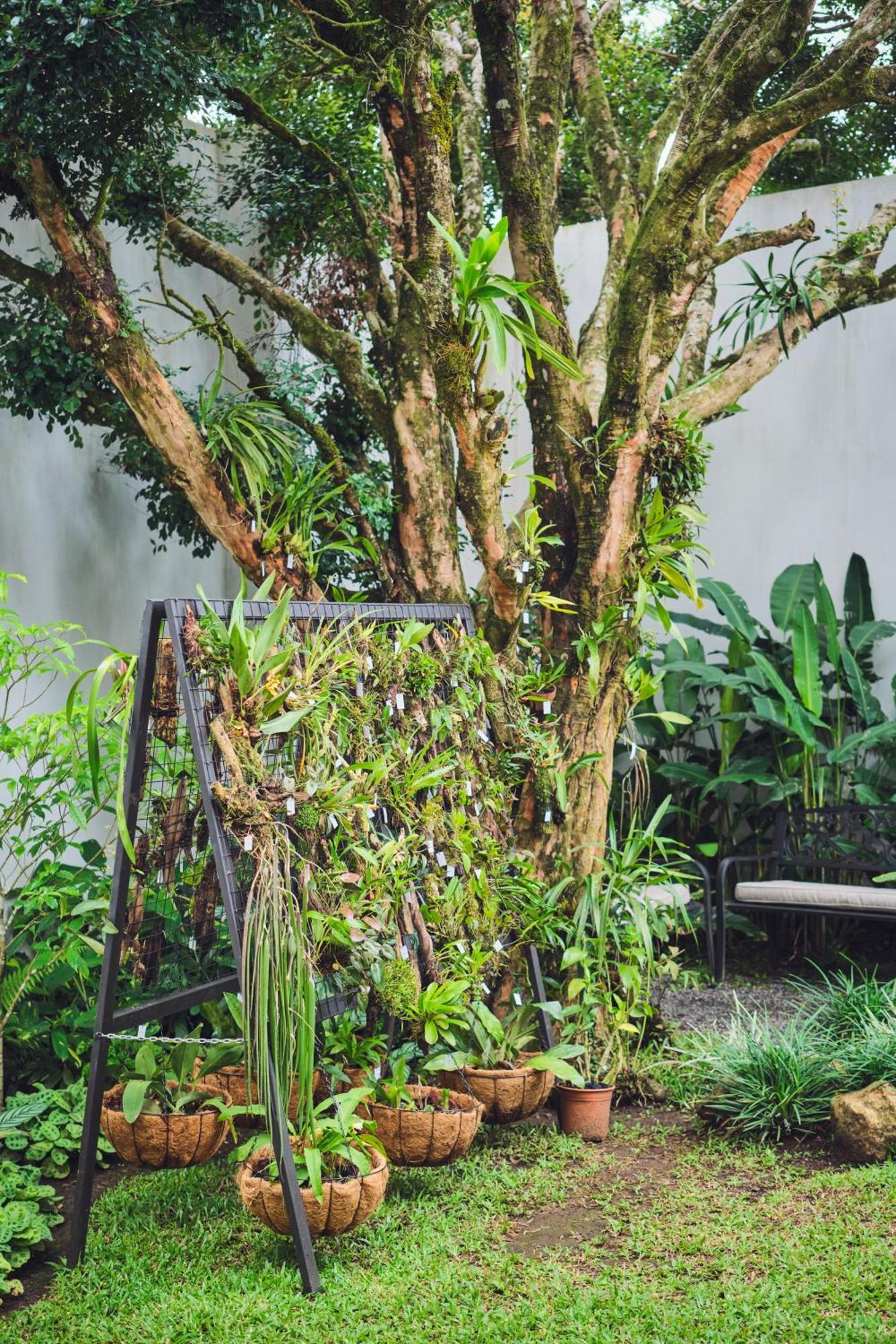 Ocotea Boutique Hotel Monteverde Eksteriør bilde