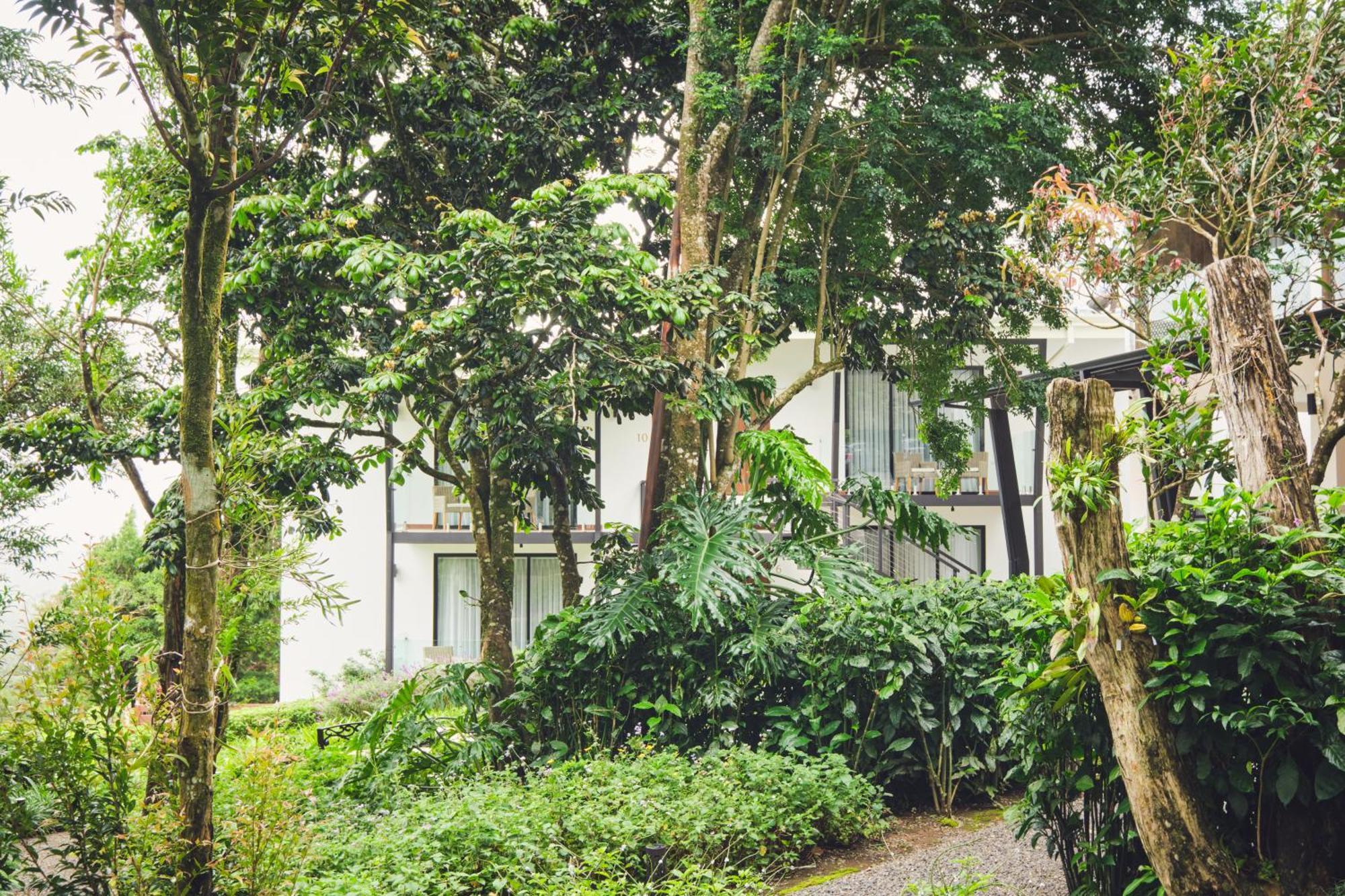 Ocotea Boutique Hotel Monteverde Eksteriør bilde